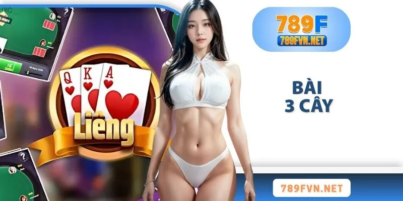bai-3-cay
