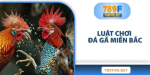 luat-choi-da-ga-mien-bac